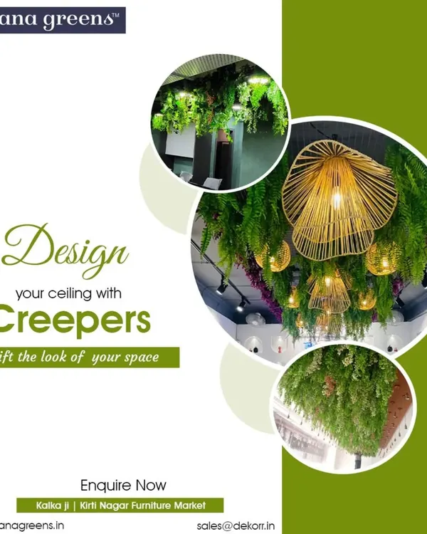 Design your ceiling with creepers to lift the look of your space. We create stunning overhead installations that bring the feeling of a lush canopy indoors.