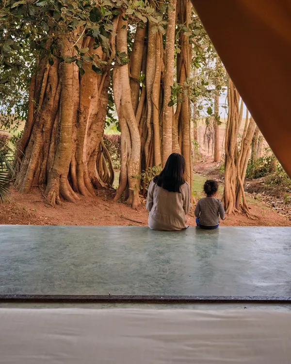 This view from inside a luxury tent at Fireflies Resort in Kabini frames an ancient banyan tree, making it the focal point. We designed the accommodation to open directly to nature, creating a powerful and immediate connection to the landscape.