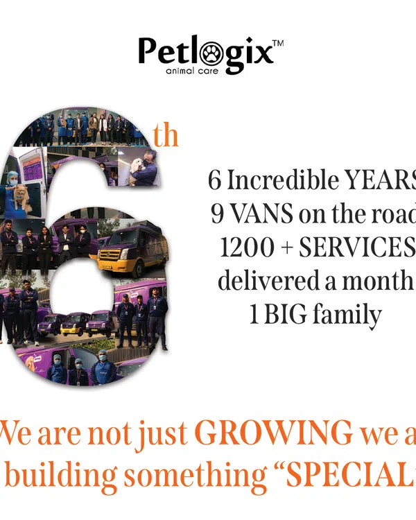 Celebrating 6 incredible years. With 9 vans on the road and over 1200 services a month, we are not just growing, we are building something special.