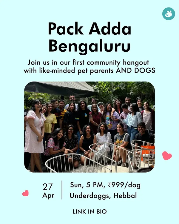 An invitation to our first community hangout in Bengaluru. We hosted this 'Pack Adda' at Underdoggs, Hebbal, for like-minded pet parents and their dogs to connect and share stories.