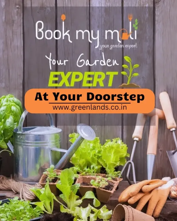 Book your garden expert at your doorstep. This graphic highlights the convenience of our 'Book My Mali' service, bringing professional gardening tools and expertise right to your home.
