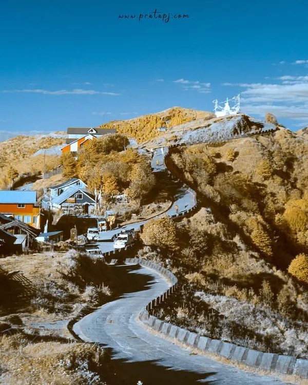 An infrared photo from Singalila National Park. Because human eyes cannot see infrared light, this technique reveals a world that looks very different, turning green leaves into golden yellow.