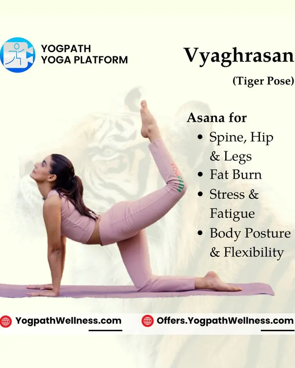 Vyaghrasan (Tiger Pose): This dynamic pose is excellent for the spine, hips, and legs. It helps burn fat, relieve stress, and improve overall body posture and flexibility.