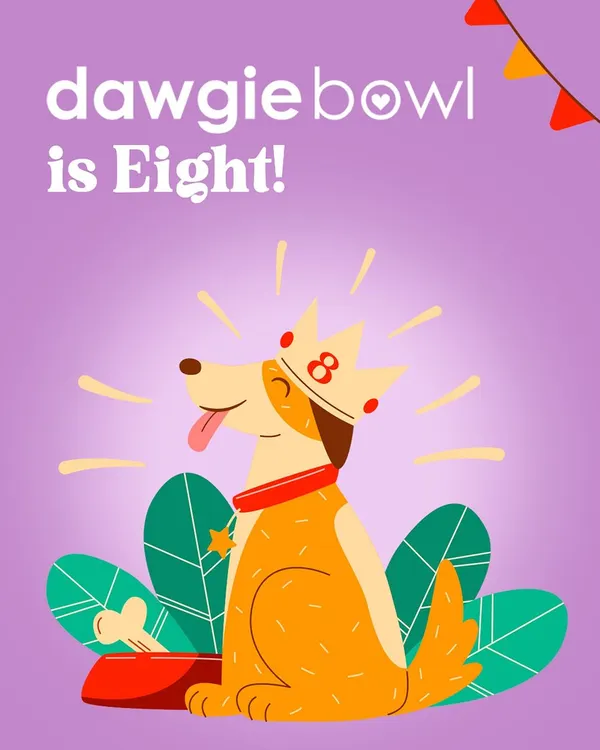 Cheers to 8 amazing years! 🐾 From my first bowl to thousands of happy pups across India, it has been an incredible journey. I am so grateful for your love and support, and I look forward to many more years of tail wags and healthy meals.