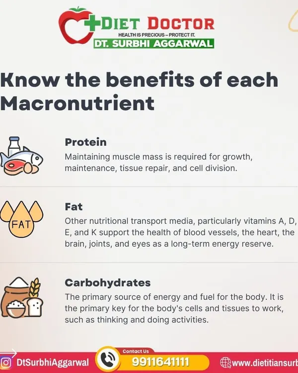 Understanding macronutrients is fundamental to nutrition. Protein is for muscle repair, fat is for hormone function and energy reserves, and carbohydrates are the primary fuel for your body and brain.