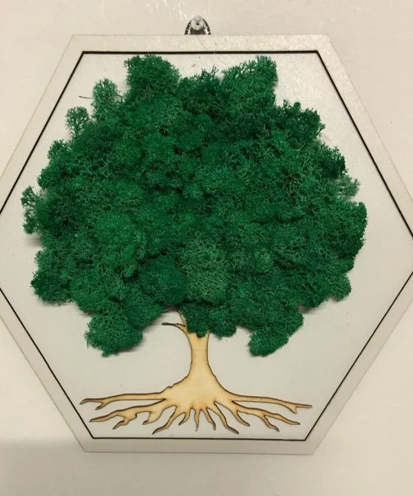 Our Evergreen Moss art featuring a tree design in a white hexagonal frame. The lush green moss forms the canopy of the tree, creating a stunning 3D effect.