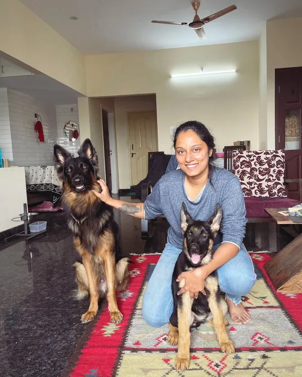 This is what my home is all about. My boy Duggu, a calm and experienced German Shepherd, helps new boarders like this little GSD pup settle in. I provide a structured, safe, and loving environment where dogs learn from each other.