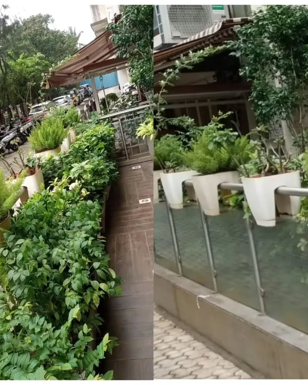A lush green entrance for a residential or commercial building. We use a combination of hedges and plants in railing planters to create an inviting and well-maintained look.