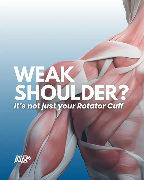 A weak shoulder is rarely just about the rotator cuff. We look at the entire system to build true strength and resilience.