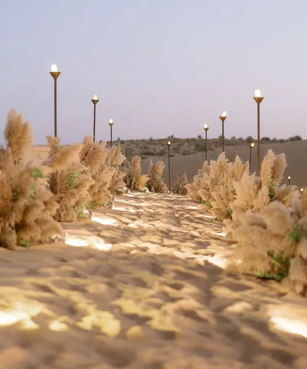 The pathway to a party in the middle of the Thar desert. We lined the sandy entrance with pampas grass and soft lighting, creating a magical walkway that led guests to an unforgettable welcome dinner under the stars.
