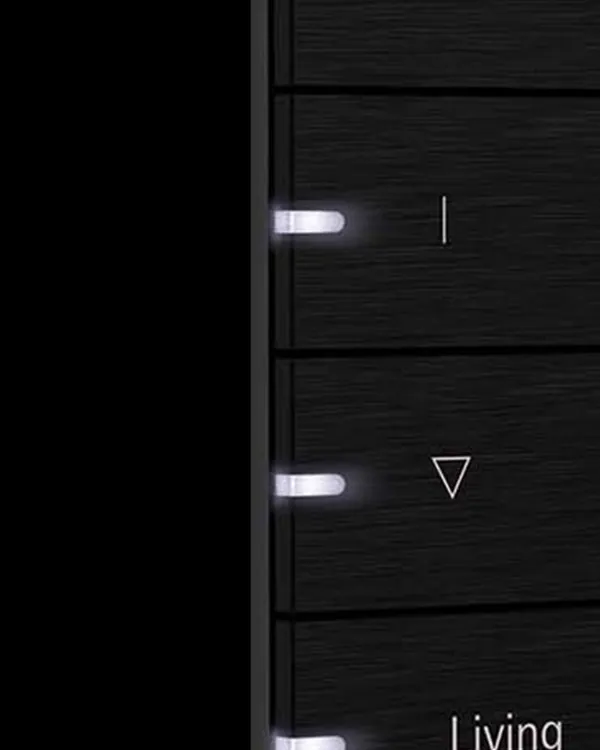 This close-up of a Gira KNX pushbutton sensor shows the tactile precision of our physical interfaces. Each button can be programmed to control individual lights, entire scenes like 'Living' or 'Watch', or automated functions like blinds.