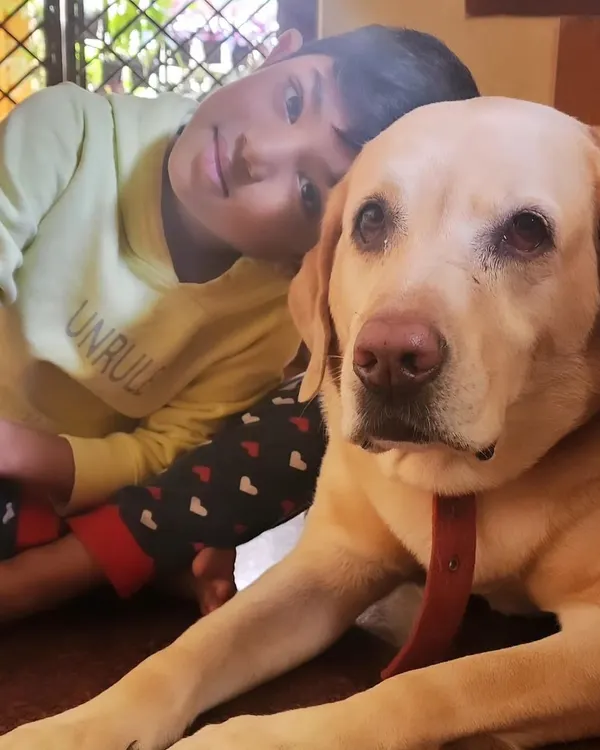 Beautiful Zoey the Labrador getting some extra cuddle time with Duggu. Every pet who steps into our home gets a free, gentle hug from this little boy.