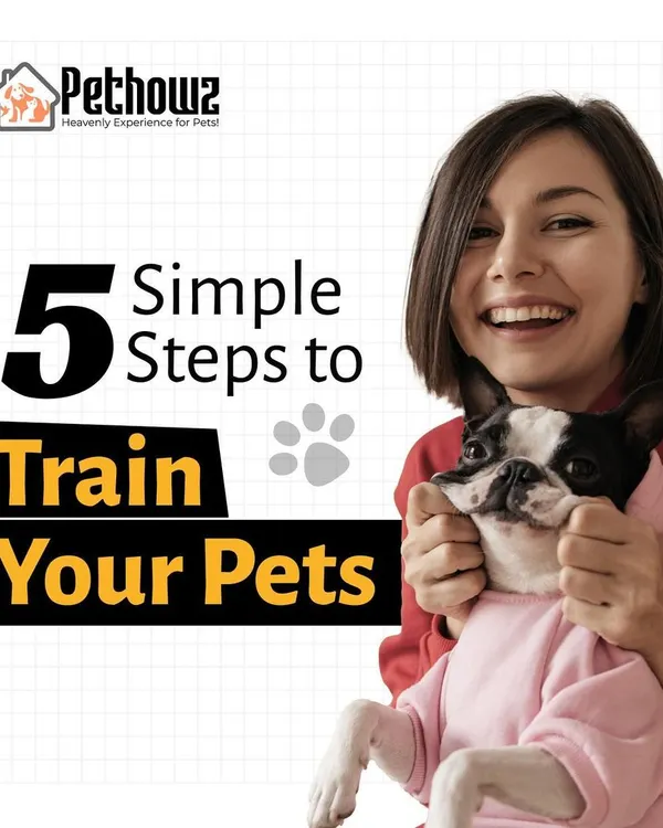 We believe training should be a positive experience for you and your pet. This guide introduces our simple, five-step approach to effective pet training, built on a foundation of trust and clear communication.