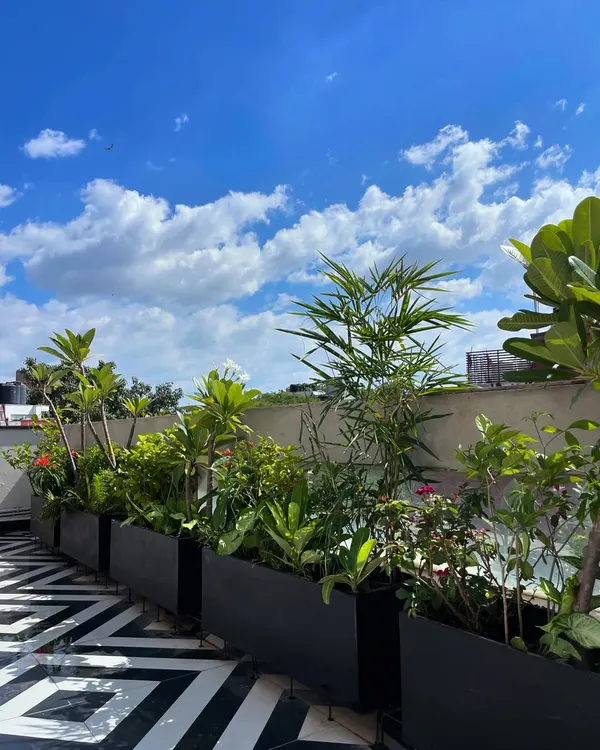 A throwback to this gorgeous terrace makeover in East of Kailash. The black planter boxes create a sharp contrast against the geometric tiles and blue sky.