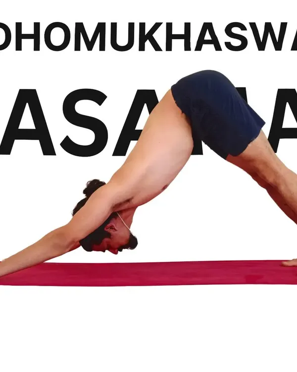Adho Mukha Svanasana, or Downward-Facing Dog, is one of the most recognized yoga postures. It strengthens the arms and shoulders, lengthens the spine, and counteracts the effects of sitting all day.