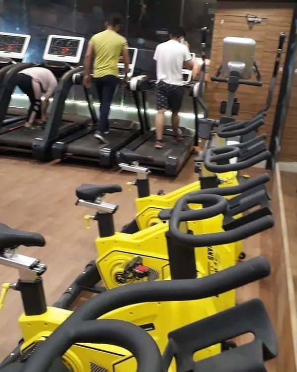 A view of our dedicated cardio area, featuring a line of stationary bikes and treadmills. We ensure our equipment is always ready for you to get a great solo workout anytime.