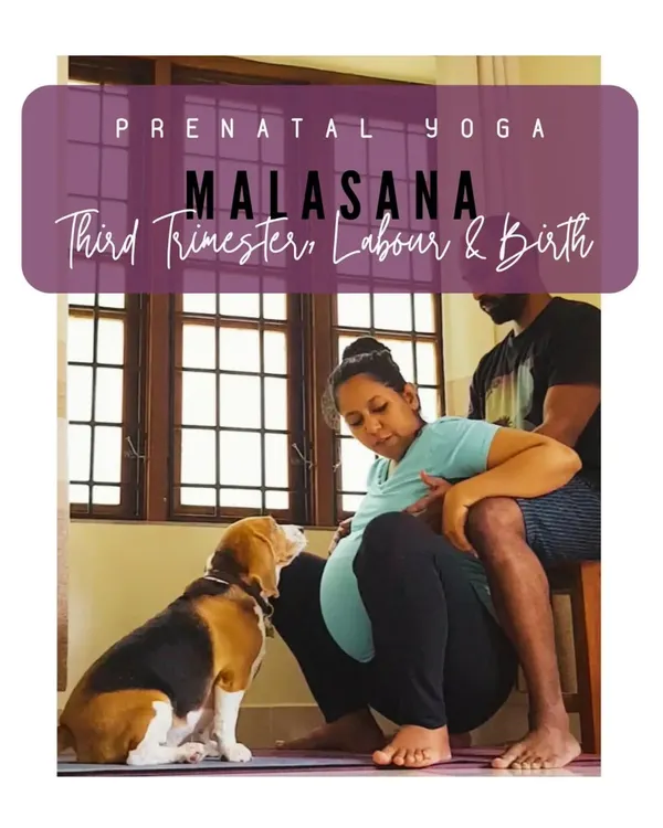 The Malasana, or deep squat, is a key pose for birth preparation. Here, I'm demonstrating a supported version with my partner, which is great for the third trimester.