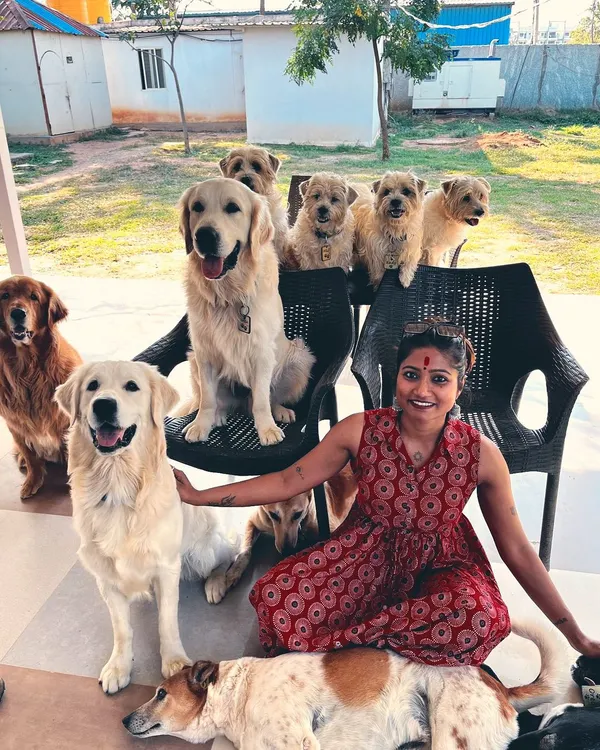 This picture fills my soul with happiness. Being surrounded by dogs of all shapes and sizes is my happy place, and it's what inspired me to dedicate my career to them.