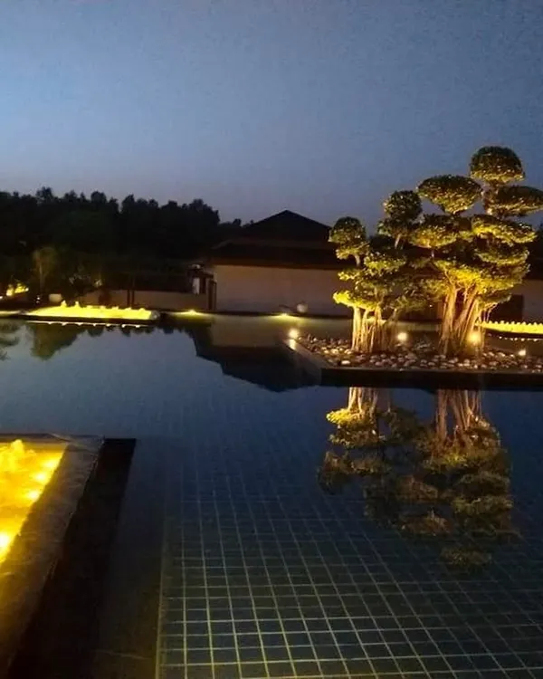A stunning night-time view of a custom-designed reflection pool. The dramatic uplighting on the central bonsai tree island creates a focal point of serene beauty, demonstrating how strategic lighting and water can craft an unforgettable, high-end landscape.