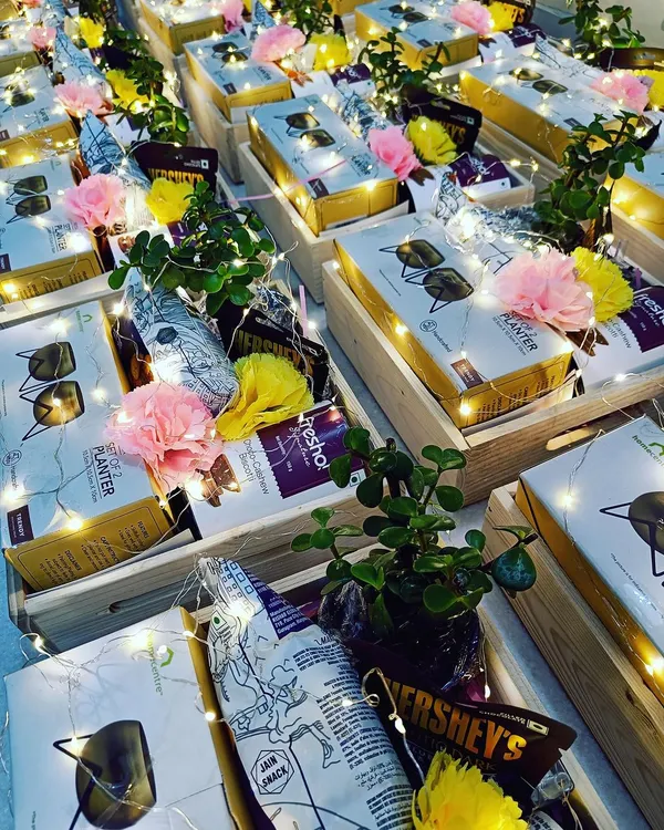 Our green gifting hampers, featuring live jade plants, snacks, and a planter set, all illuminated by fairy lights. This is a beautiful and sustainable gift that continues to grow.