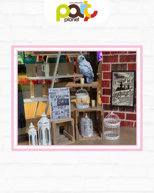 A detailed corner of a Harry Potter party, featuring a Hedwig prop, caged owls, and a "I'd rather be at Hogwarts" sign.