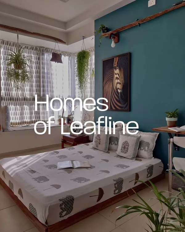I designed this bedroom to be a tranquil retreat, using hanging plants and other greenery to frame the window. The plants not only enhance the room's aesthetic against the teal wall but also improve air quality for a restful sleep.