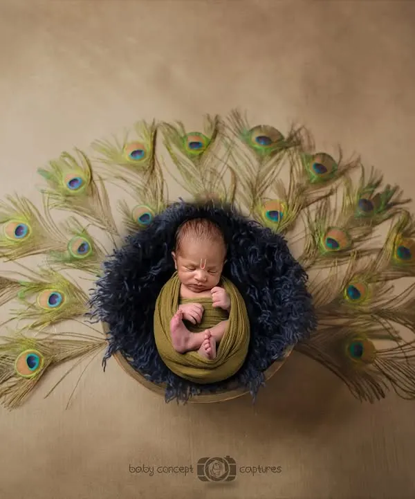 A stunning overhead shot of a newborn nestled in a dark blue nest, surrounded by a fan of peacock feathers. This is a great example of a unique and artistic newborn theme.