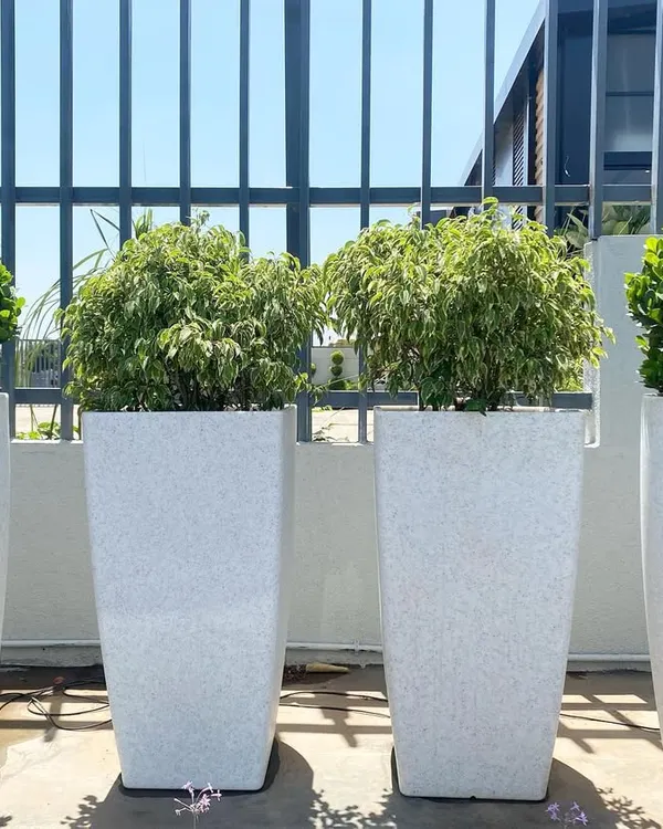 This is an example of how my plants can be used for modern terrace and balcony decoration. The image shows a set of four large outdoor planters with neatly shaped topiary plants, creating a clean and green look.
