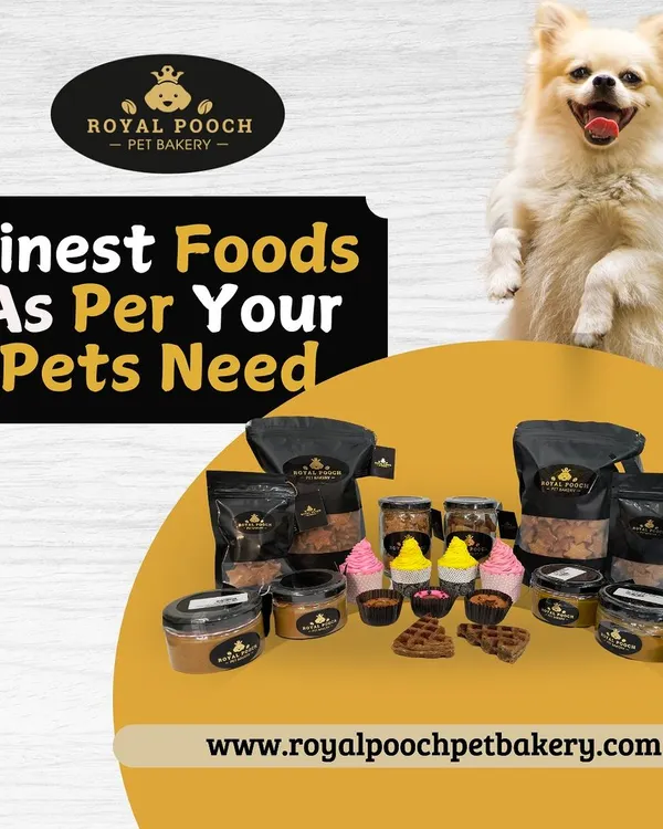 This is a snapshot of the finest foods I create, based on your pet's needs. You can see my full range of treats, including cookies, cupcakes, waffles, and peanut butter, all made with the best ingredients.