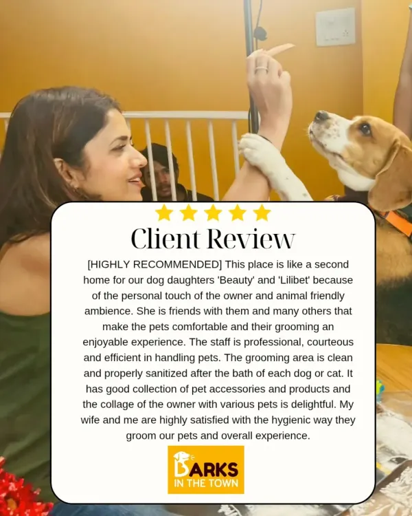A highly recommended review from a client who considers our space a "second home" for their dogs. They highlight our personal touch, professional staff, and clean, sanitized grooming area.