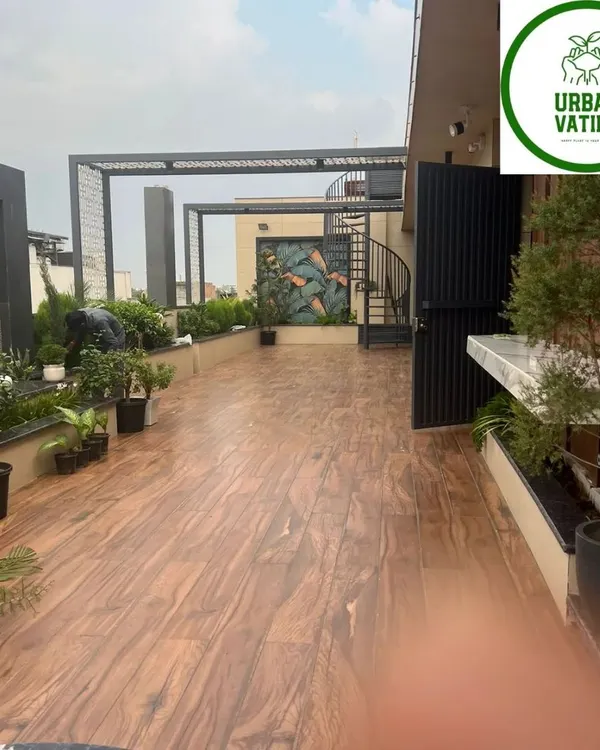 A full terrace garden setup in progress, featuring a variety of plants in different pots to create a lush, multi-level green space.