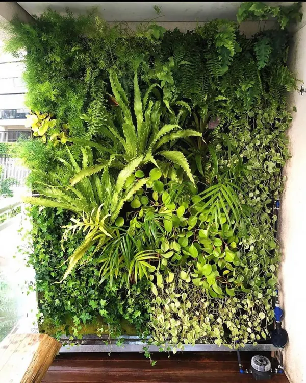 This is a close-up of a dense vertical garden I installed on a client's balcony. I used a mix of ferns, pothos, and other foliage to create a rich, textured look that acts as a natural piece of art.