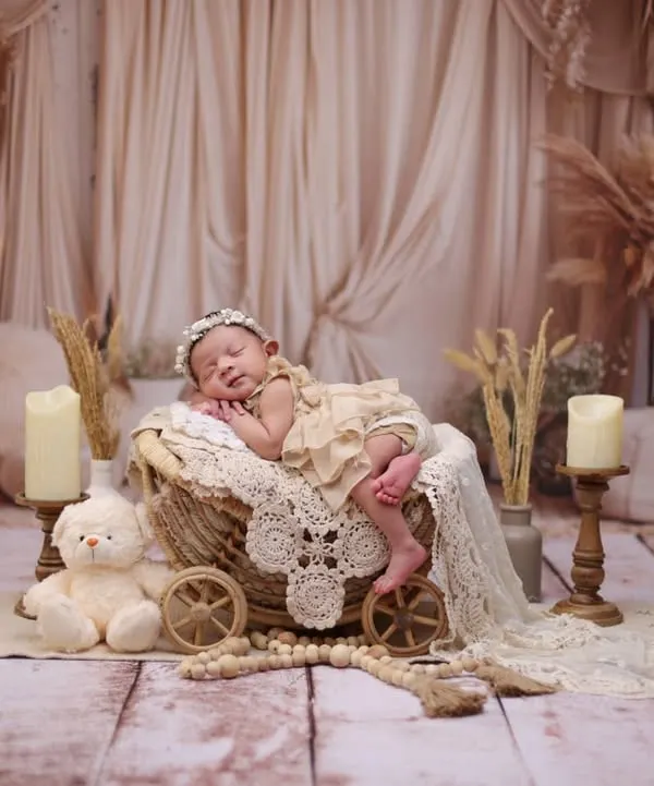 A beautiful, complete boho setup featuring a wicker pram, pampas grass, and lace details. This style creates a warm, serene, and highly aesthetic portrait.