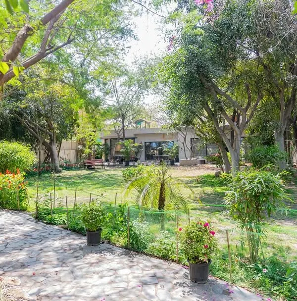 We designed this office to feel tranquil and connected to nature. A path winds through a lush garden, leading to a workspace that is filled with soft, natural light.
