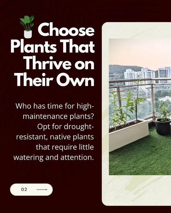 For a truly low maintenance garden, I recommend drought resistant plants paired with artificial grass. This combination gives you a lush, green look with minimal effort.