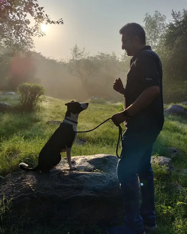 This is the connection I strive for. Here, I'm working with Mishka, a young Indie, during her Board and Train stay. Achieving this level of focus outdoors, with all its distractions, is what my training is all about. It’s built on trust and clear communication, not force.