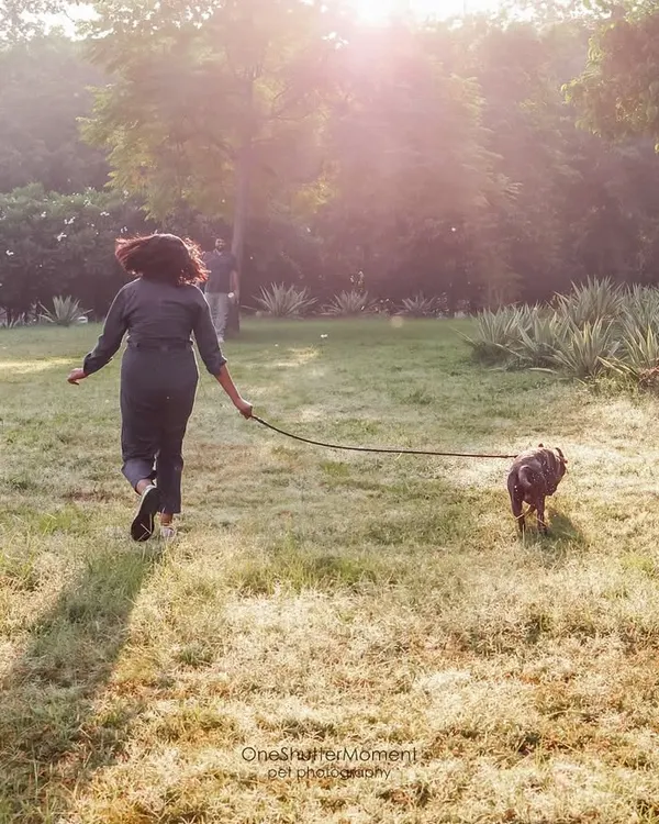 Running into the sunset with your best friend. This dreamy, light-filled photo captures a perfect moment of freedom and companionship during an evening walk in the park.