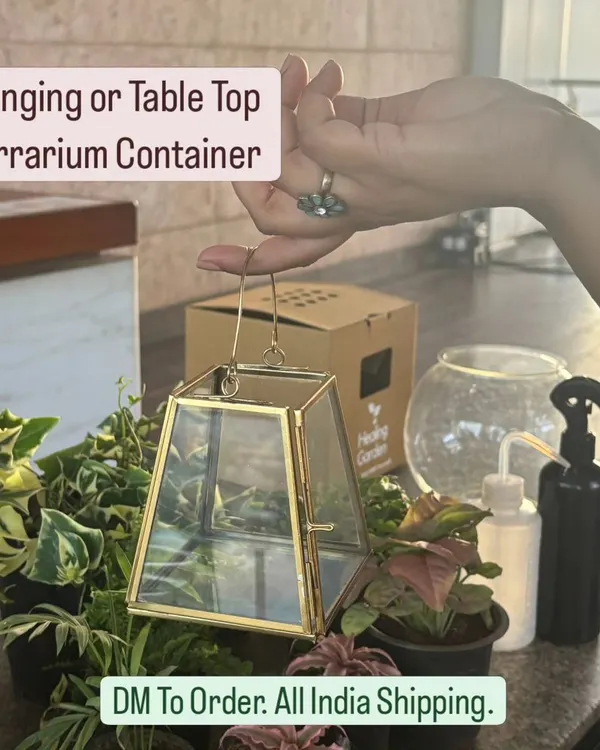 This geometric terrarium container is one of my most versatile pieces. It can be used as a hanging planter or a tabletop decoration, perfect for both open and closed terrarium designs. I ship these all over India.