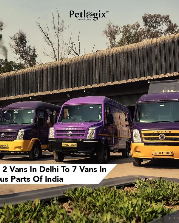 From 2 vans in Delhi to 7 vans across India, our fleet is growing. We are committed to bringing convenient, high-quality pet grooming to more locations.