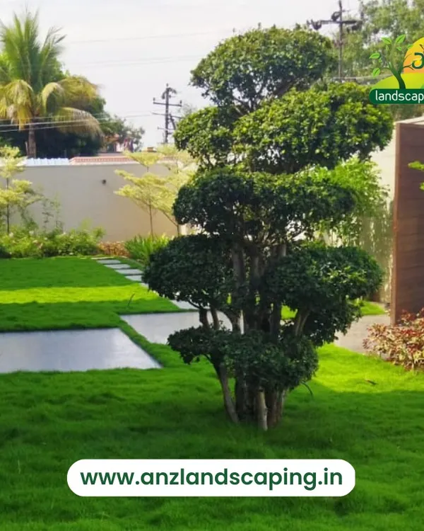 We design and maintain pristine residential landscapes, featuring perfectly manicured lawns and expertly shaped topiary trees that serve as a stunning focal point for your garden.