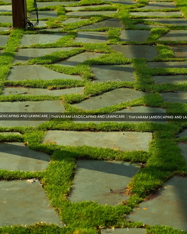 I love combining the clean lines of stone pavers with the softness of grass. This intricate pathway design creates a beautiful, geometric pattern that feels both natural and deliberately designed.
