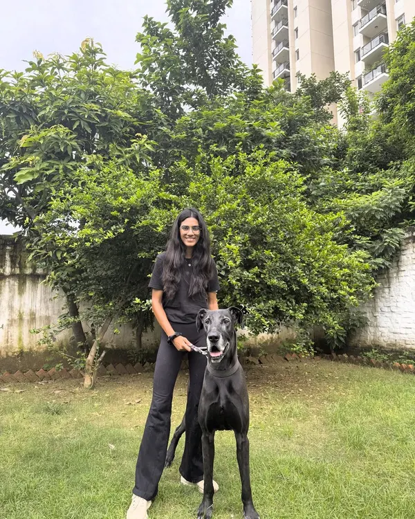 Reunions like this are what it's all about. We first trained Tiger the Great Dane as a small pup. Five years later, he's back for boarding and walked in like no time had passed. The bond we build goes far beyond the training sessions.