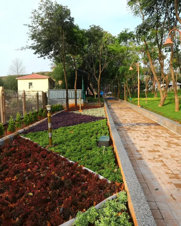 A long, paved brick walkway I installed in a large park. It is bordered by raised beds with colorful ground cover, demonstrating how hardscaping directs flow and defines planting areas.