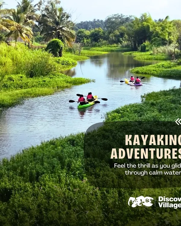Feel the thrill as you glide through calm waters on a kayaking adventure. It's a fantastic way for your team to explore the natural beauty of the river at their own pace.