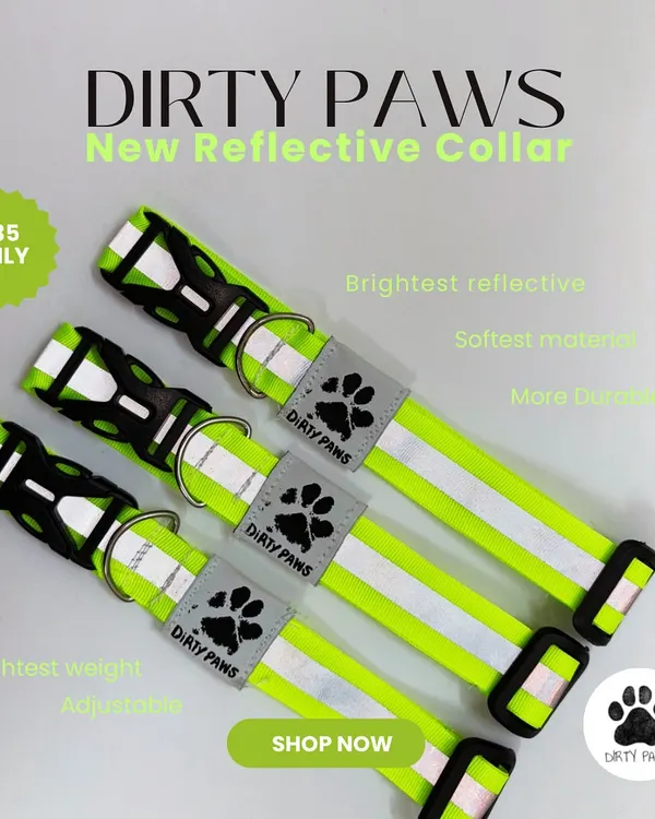 A product shot of my neon green reflective collars. This image highlights the key features: brightest reflective material, soft, durable, lightweight, and adjustable, all for an affordable price.