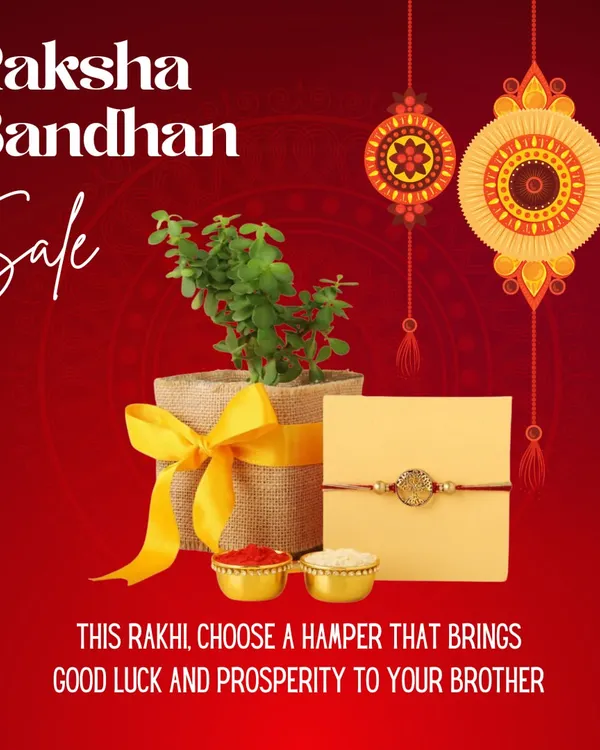 Celebrate Raksha Bandhan with a gift that grows. This special hamper combines a beautiful Jade plant with a rakhi and traditional elements, offering a unique and eco-friendly way to wish your brother prosperity.