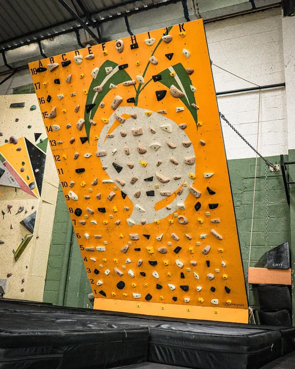 This is our MoonBoard, set up and ready for a session. The grid layout and specific holds allow for thousands of standardized boulder problems accessible through the MoonBoard app.