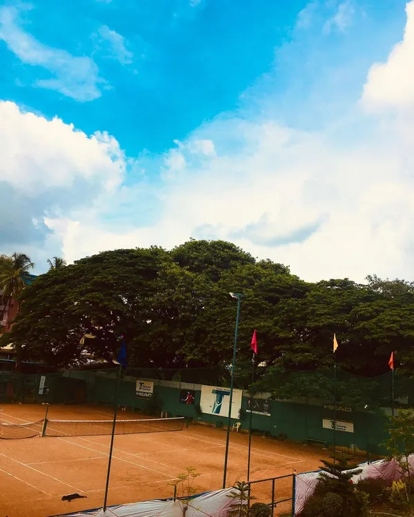 A wide view of our facility, showcasing the beautiful natural surroundings. The large trees provide plenty of shade and a serene backdrop for your game.