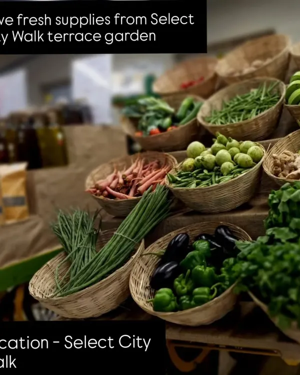 This is what real, honest food looks like. I bring the best of my farm's seasonal harvest to local markets, with everything from crisp greens and brinjals to fresh ginger and lemons, all grown without any chemicals.
