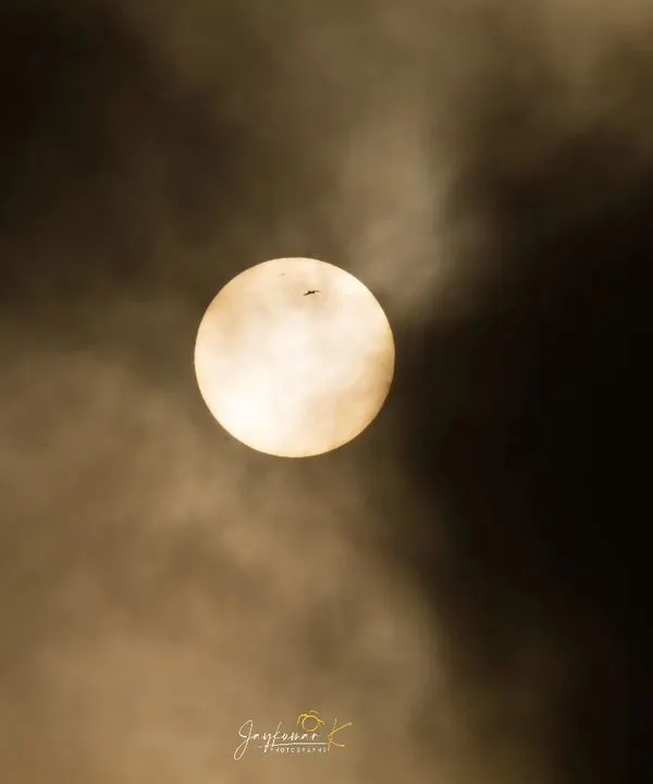 A lone bird flies across the face of the morning sun, creating a dramatic silhouette against the hazy, golden light. This artistic shot conveys a sense of freedom and the grand scale of nature.